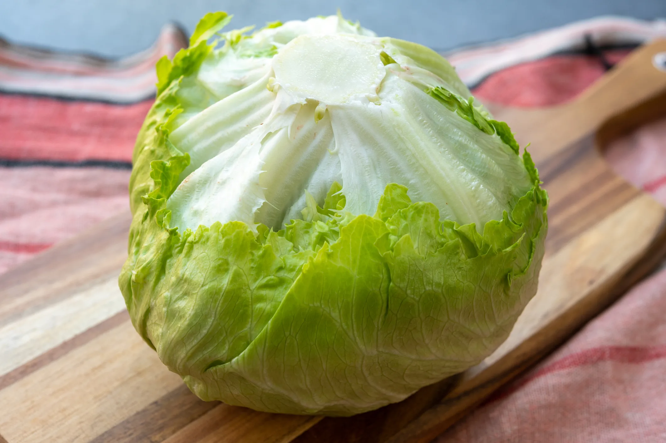Head of fresh green Iceberg or Crisphead lettuce close up