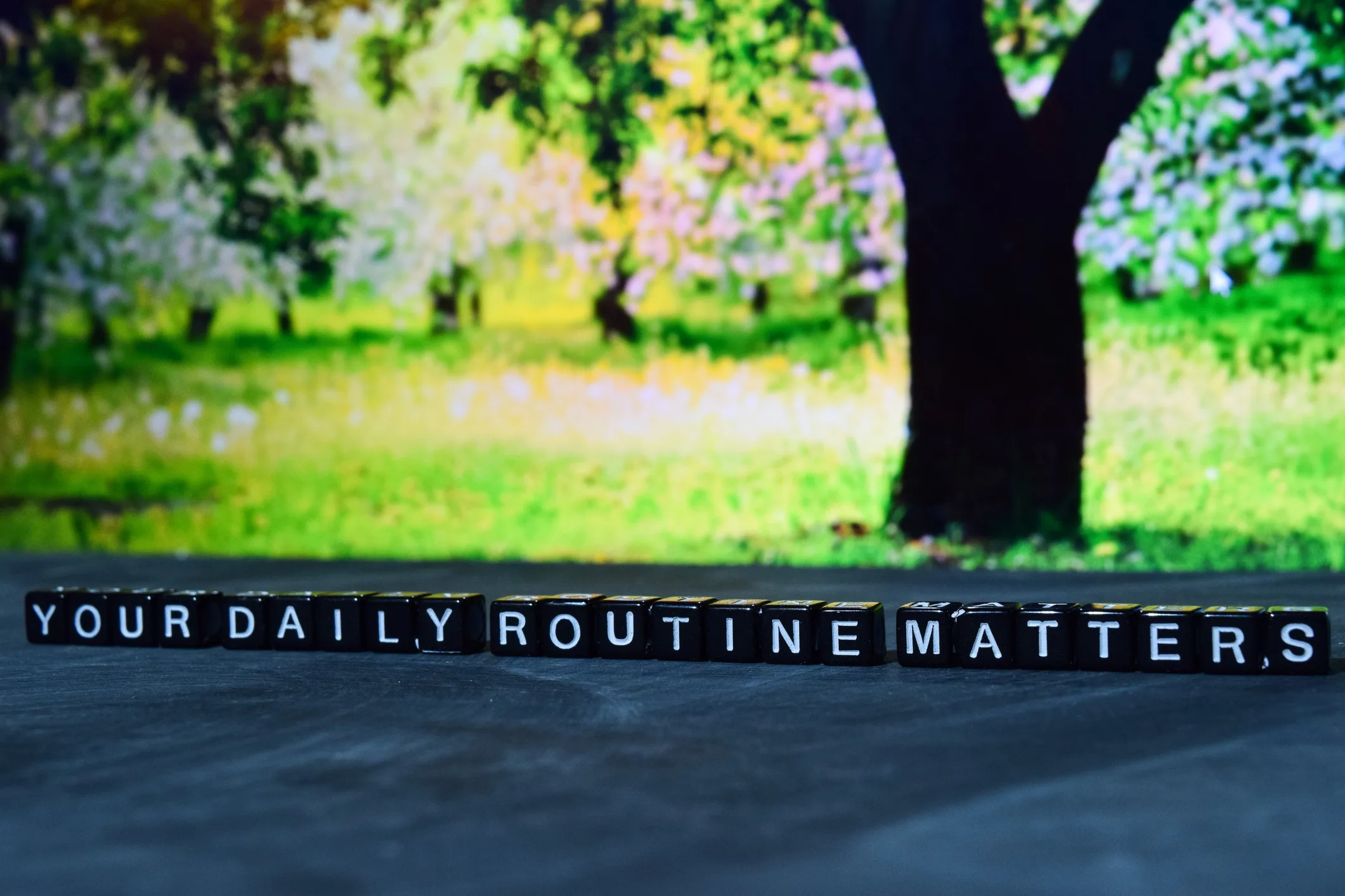 Your daily routine matters on wooden blocks
