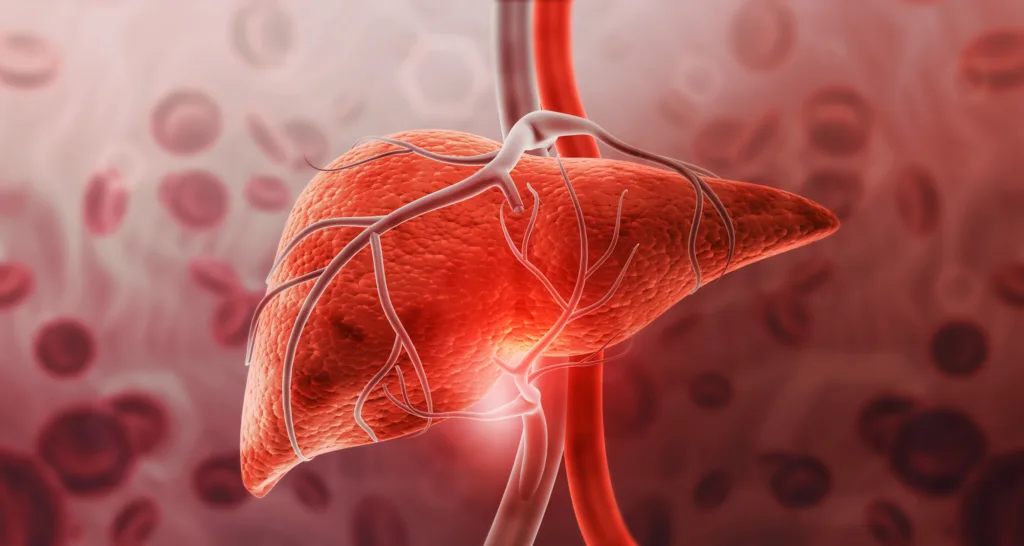 Human liver anatomy on scientific background