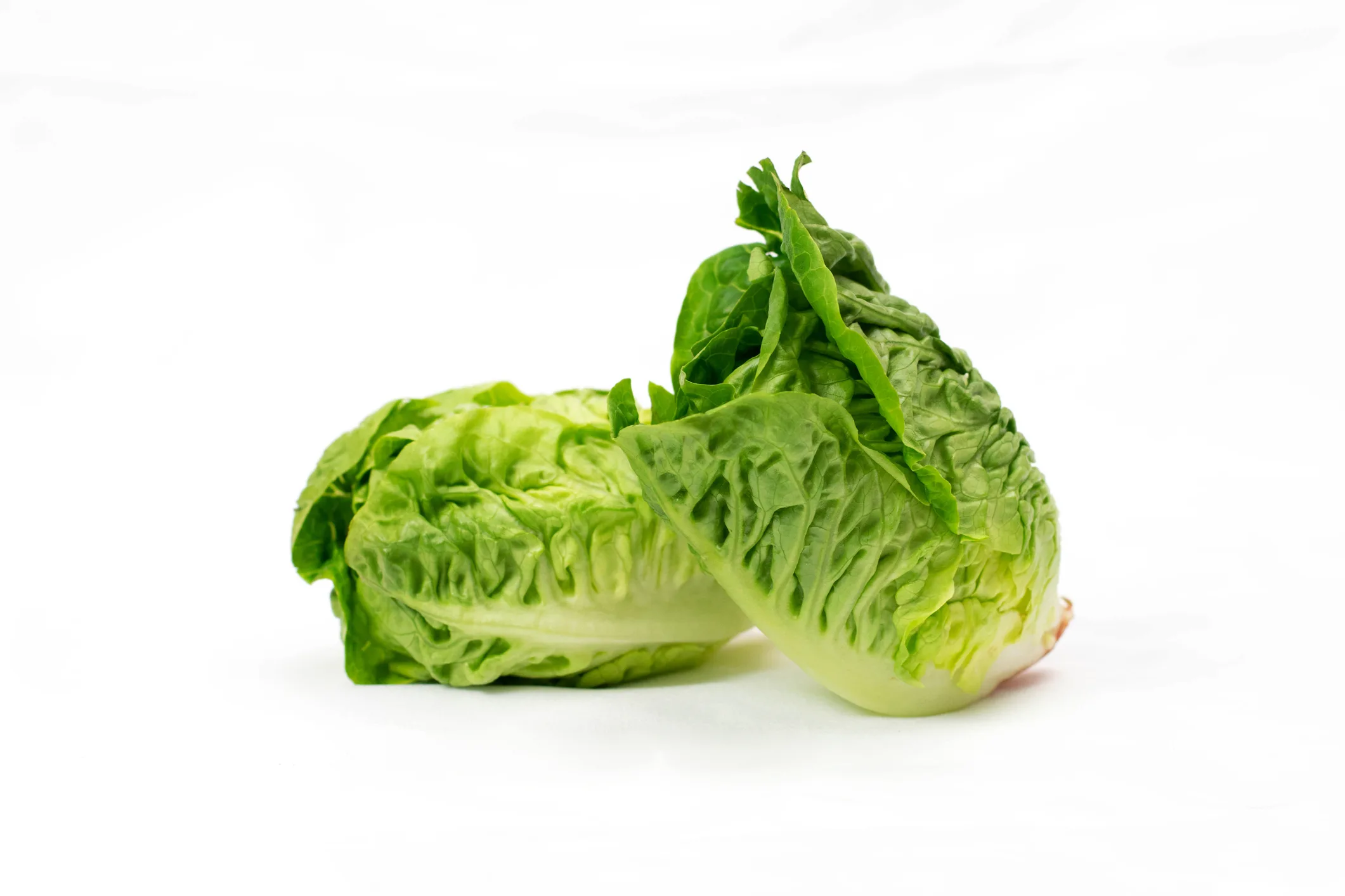 Two 2 freshly harvested little gem lettuce on a white background