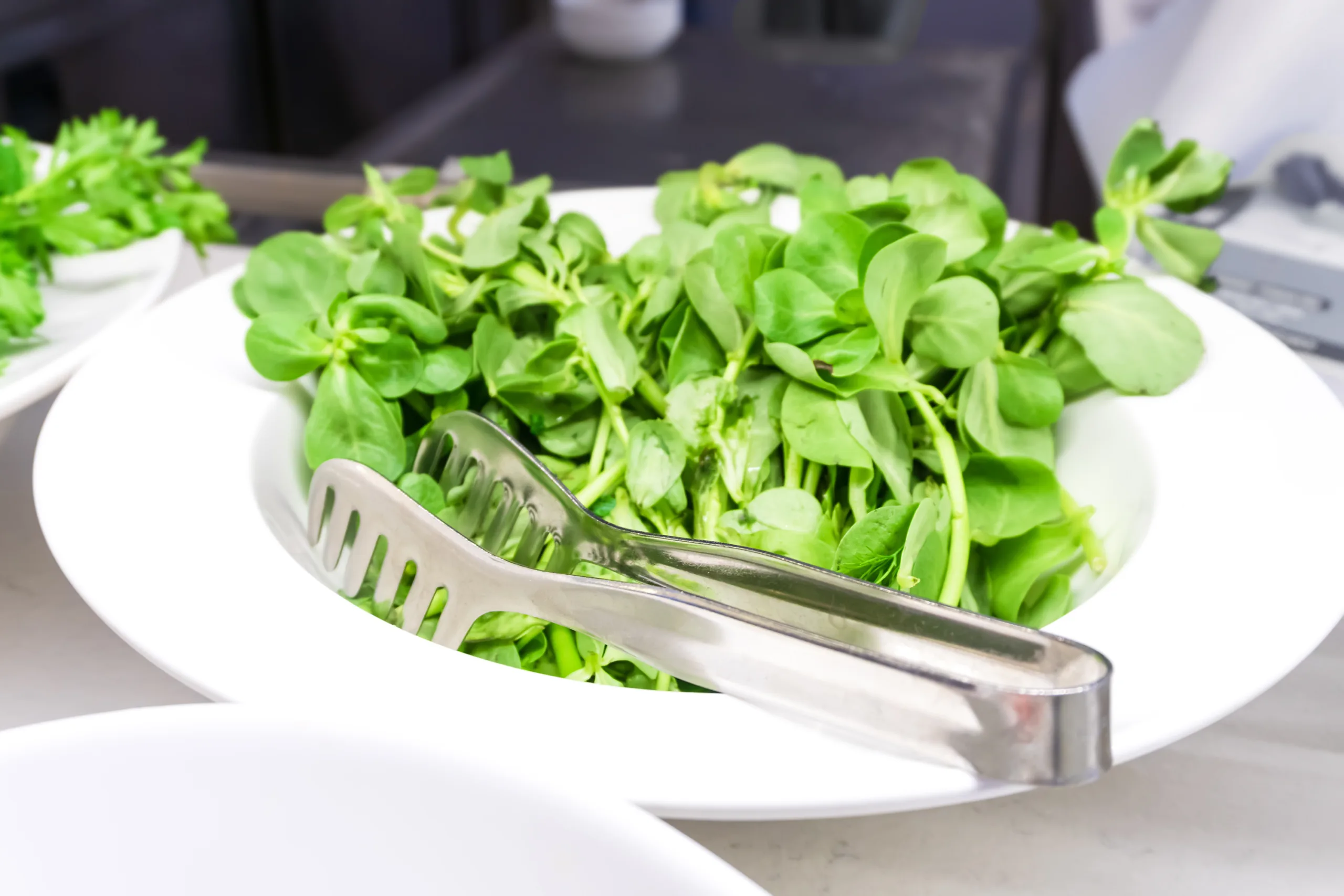 A large plate filled with fresh mash lettuce (mache salad). Side view. Selective focus.