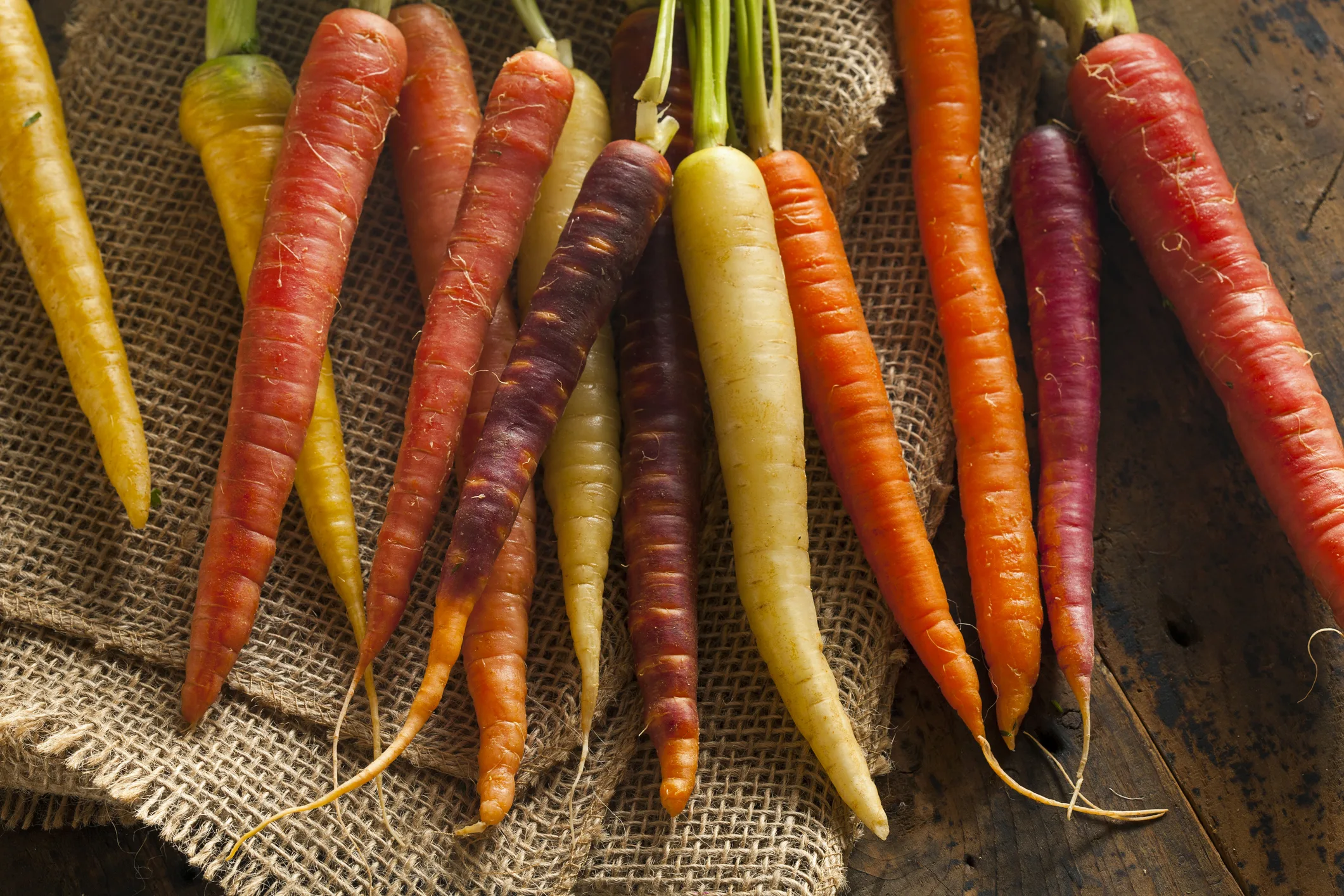 Colorful Multi Colored Raw Carrots