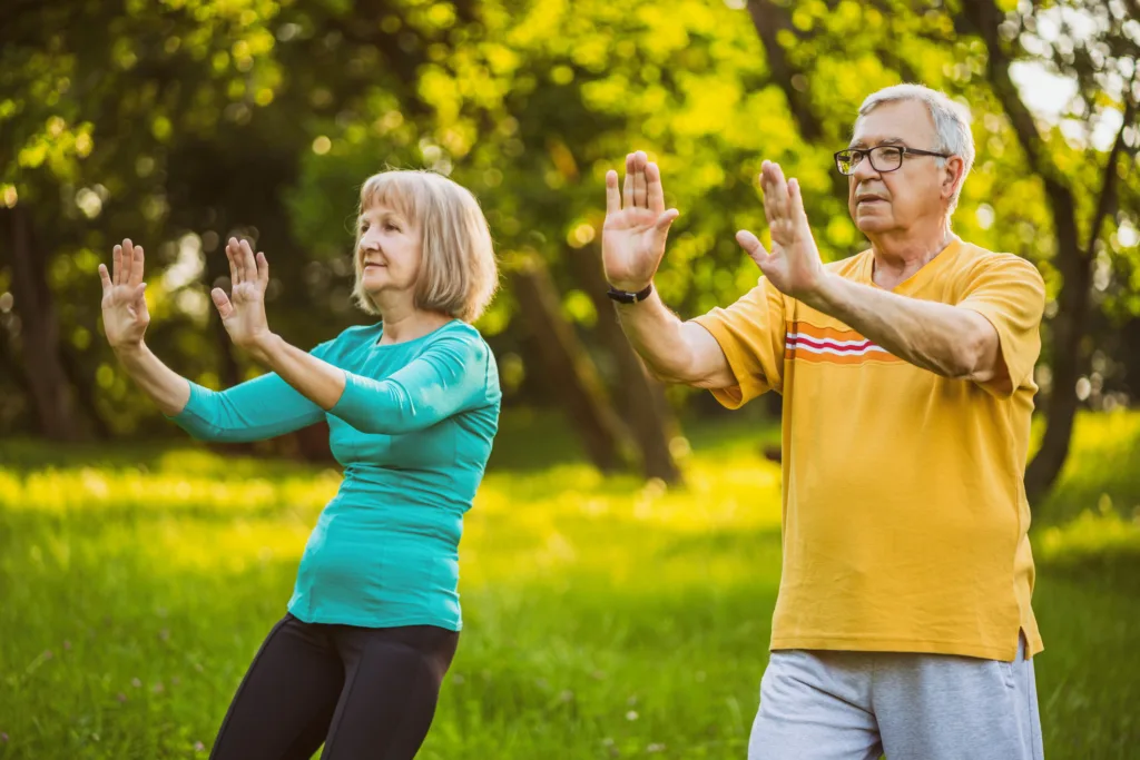 Senior couple exercising Tai Chi