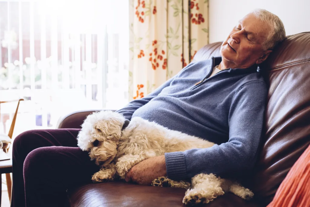 Afternoon Nap with the Dog